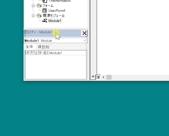 VBE VBA オプション