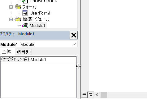 VBE VBA オプション