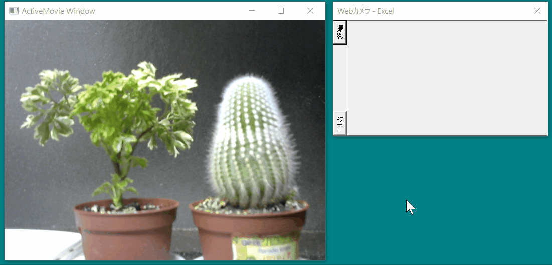 マクロ VBA WEBカメラ